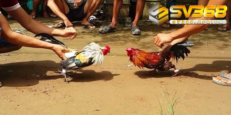 Chế độ dinh dưỡng và chăm sóc mỗi ngày